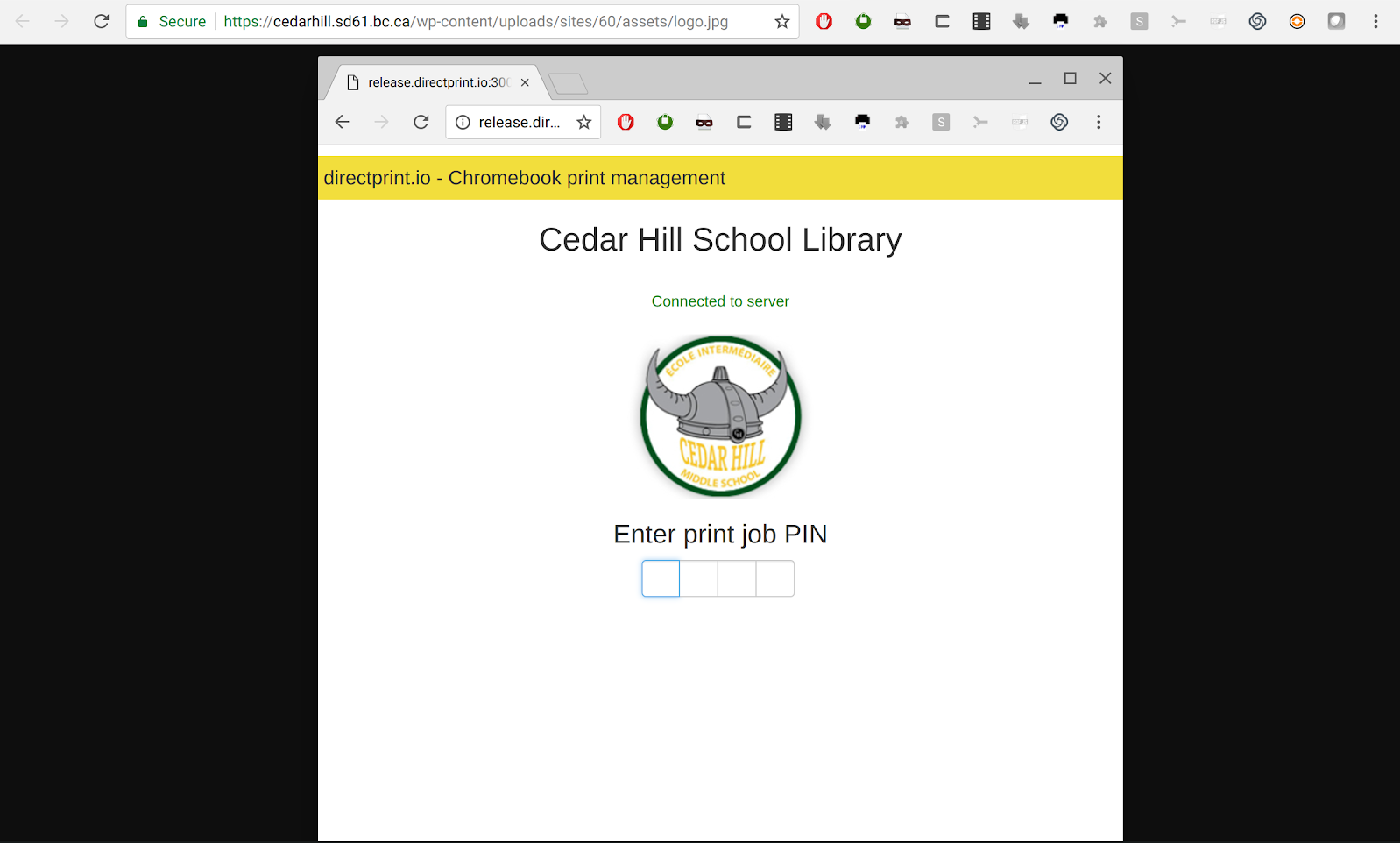 terminal-release-print-image-1.png